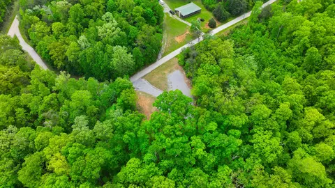 View/Area - 1455 Pine Tree Rd, Nancy, KY 42544 photo 8 of 13