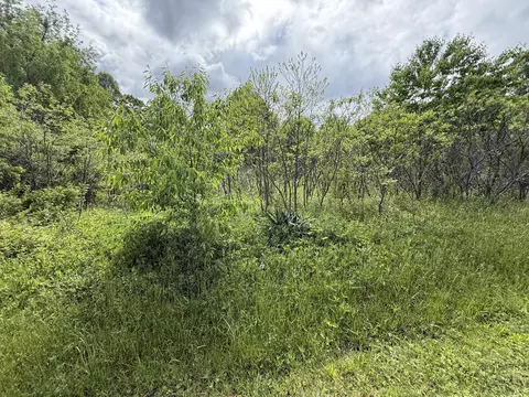 9999 Springs Branch Dr, London, KY 40744