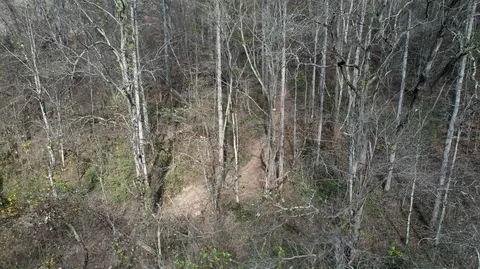 0 Mosley Bend Rd, Hyden, KY 41749 photo 8
