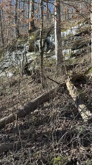 0 Mosley Bend Rd, Hyden, KY 41749 photo 13