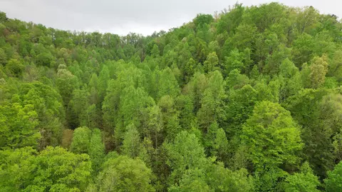 0 Saul Mud Lick Br, Buckhorn, KY 41721