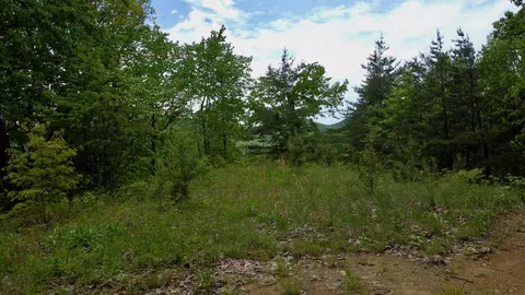 560 Hickory Dr, Morehead, KY 40351