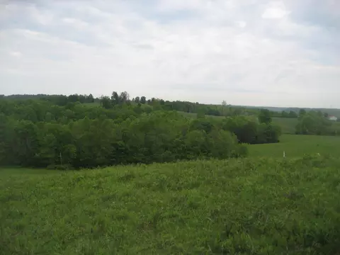 004 Buckler Ln, Olive Hill, KY 41164