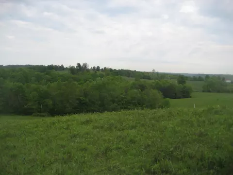 002 Buckler Ln, Olive Hill, KY 41164