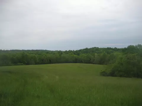 005 Buckler Ln, Olive Hill, KY 41164