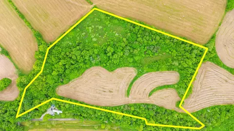 00 Moores Ln, Stanford, KY 40484