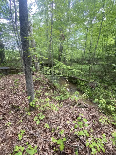 45 Rons Pond Rd, Corbin, KY 40701 photo 42