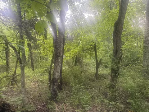 169 Greasy Rdg, Sandy Hook, KY 41171 photo 8