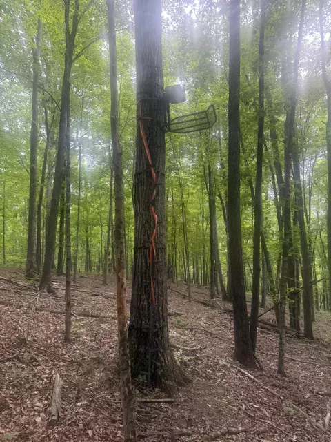 169 Greasy Rdg, Sandy Hook, KY 41171 photo 5