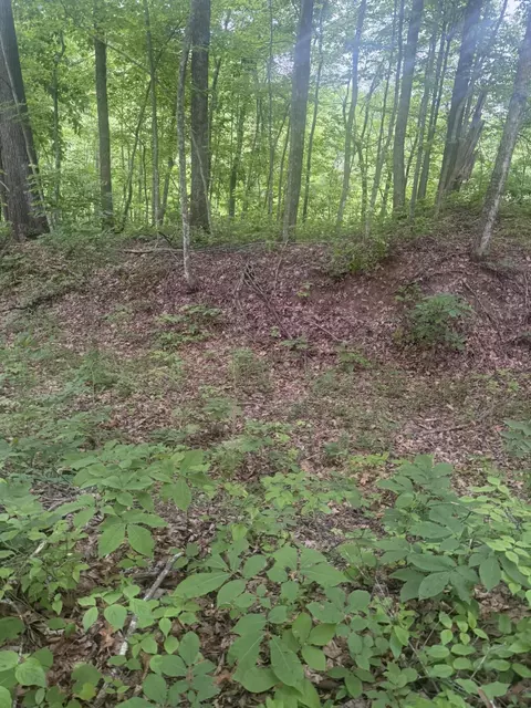 169 Greasy Rdg, Sandy Hook, KY 41171 photo 26