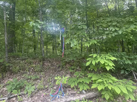 169 Greasy Rdg, Sandy Hook, KY 41171 photo 14