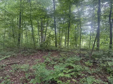 169 Greasy Rdg, Sandy Hook, KY 41171 photo 19