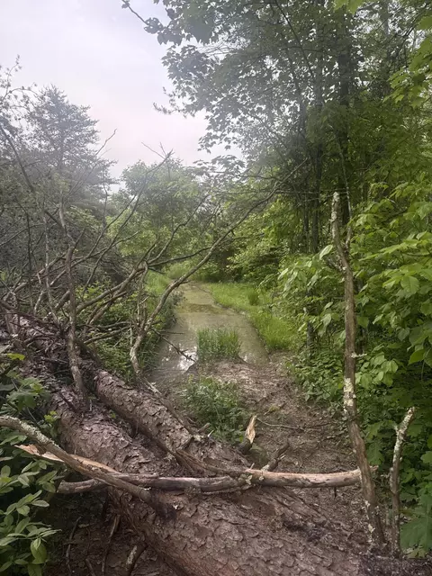 169 Greasy Rdg, Sandy Hook, KY 41171 photo 7