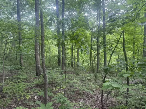 169 Greasy Rdg, Sandy Hook, KY 41171 photo 12