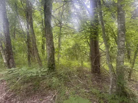 169 Greasy Rdg, Sandy Hook, KY 41171 photo 9