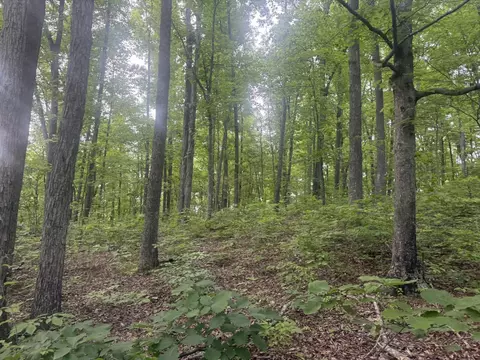 169 Greasy Rdg, Sandy Hook, KY 41171 photo 13