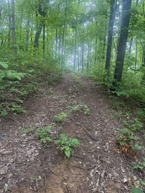 169 Greasy Rdg, Sandy Hook, KY 41171 photo 17