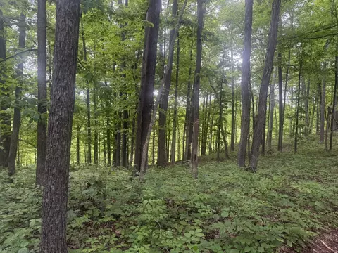 169 Greasy Rdg, Sandy Hook, KY 41171 photo 18