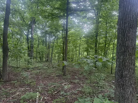 169 Greasy Rdg, Sandy Hook, KY 41171