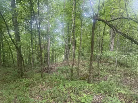169 Greasy Rdg, Sandy Hook, KY 41171 photo 4
