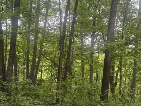 169 Greasy Rdg, Sandy Hook, KY 41171 photo 15