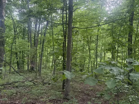 169 Greasy Rdg, Sandy Hook, KY 41171 photo 2