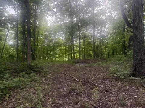 169 Greasy Rdg, Sandy Hook, KY 41171 photo 23