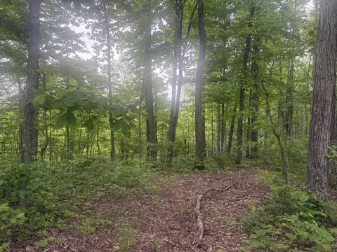 169 Greasy Rdg, Sandy Hook, KY 41171 photo 21