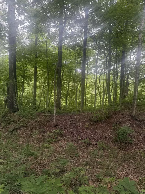 169 Greasy Rdg, Sandy Hook, KY 41171 photo 28