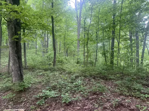 169 Greasy Rdg, Sandy Hook, KY 41171 photo 20