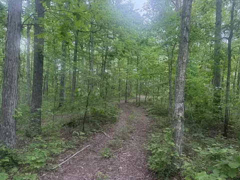 169 Greasy Rdg, Sandy Hook, KY 41171 photo 22