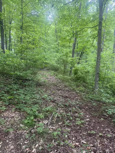 169 Greasy Rdg, Sandy Hook, KY 41171 photo 16