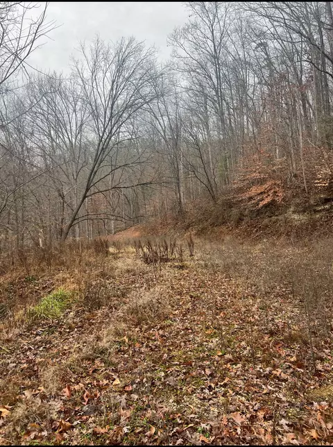 9999 Town Hill Rd, Jackson, KY 41339 photo 2