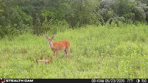 Other - 150 Sycamore Creek Rd, Van Lear, KY 41265 photo 49 of 65