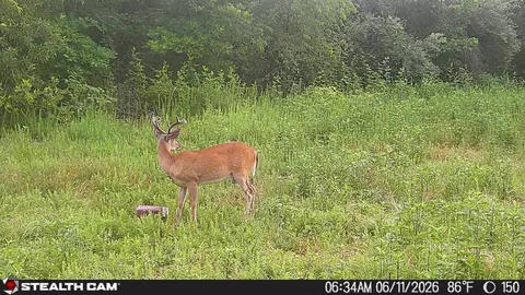 Other - 150 Sycamore Creek Rd, Van Lear, KY 41265 photo 61 of 61