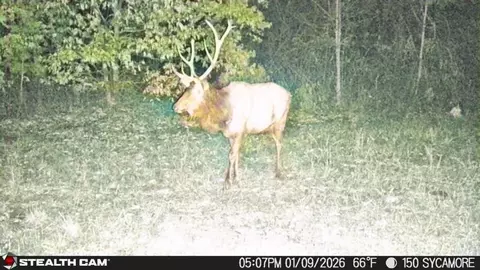 Other - 150 Sycamore Creek Rd, Van Lear, KY 41265 photo 50 of 61