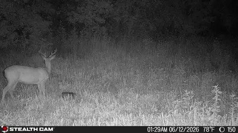 Other - 150 Sycamore Creek Rd, Van Lear, KY 41265 photo 54 of 61