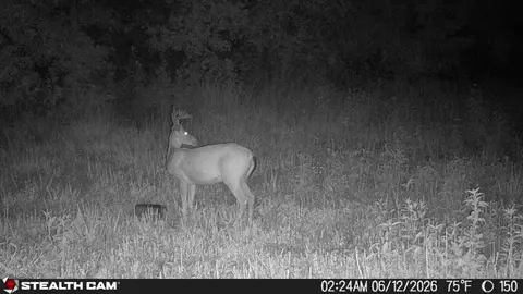 Other - 150 Sycamore Creek Rd, Van Lear, KY 41265 photo 55 of 65