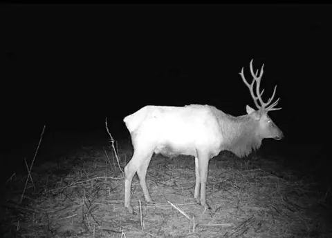 Other - 150 Sycamore Creek Rd, Van Lear, KY 41265 photo 14 of 61