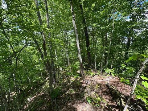 Exterior - 150 Sycamore Creek Rd, Van Lear, KY 41265 photo 2 of 27