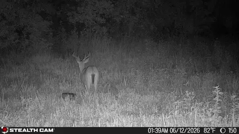 Other - 150 Sycamore Creek Rd, Van Lear, KY 41265 photo 57 of 61