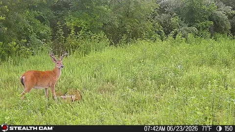 Other - 150 Sycamore Creek Rd, Van Lear, KY 41265 photo 60 of 61
