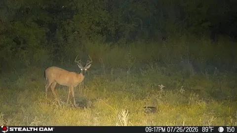 Other - 150 Sycamore Creek Rd, Van Lear, KY 41265 photo 64 of 65