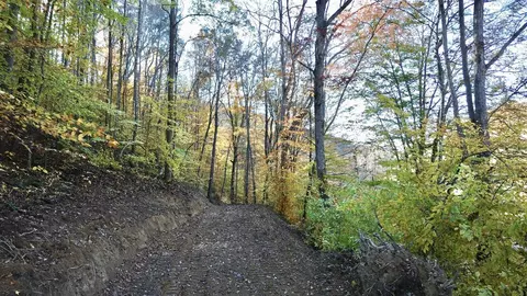 Other - 150 Sycamore Creek Rd, Van Lear, KY 41265 photo 9 of 61