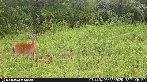 Other - 150 Sycamore Creek Rd, Van Lear, KY 41265 photo 53 of 61
