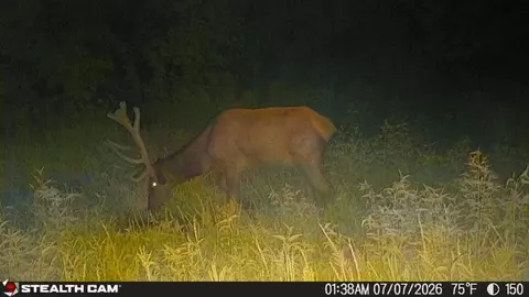 Other - 150 Sycamore Creek Rd, Van Lear, KY 41265 photo 16 of 65