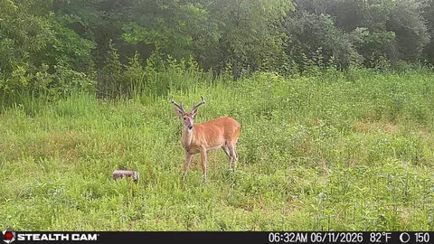 Other - 150 Sycamore Creek Rd, Van Lear, KY 41265 photo 58 of 65