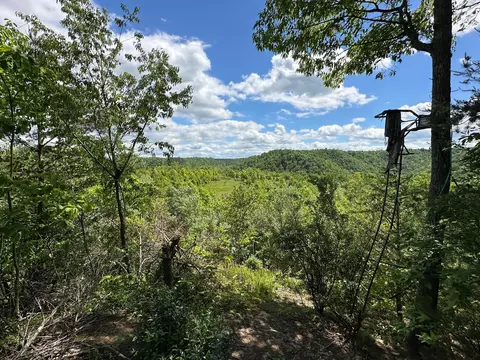 View/Area - 150 Sycamore Creek Rd, Van Lear, KY 41265 photo 1 of 7