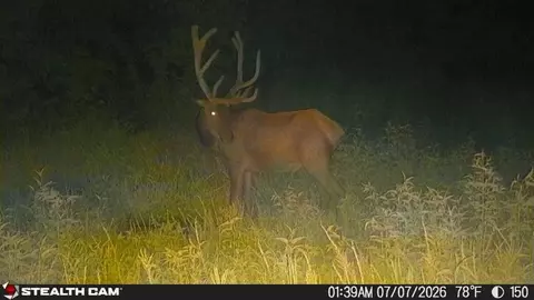 Other - 150 Sycamore Creek Rd, Van Lear, KY 41265 photo 19 of 61