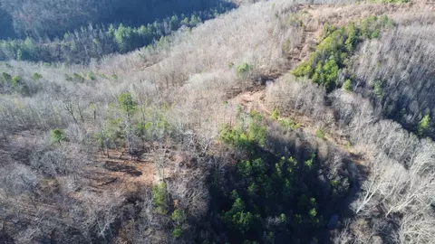 Other - 150 Sycamore Creek Rd, Van Lear, KY 41265 photo 44 of 61